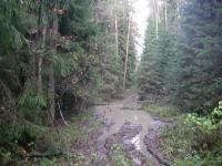 IMGP0273 (copy 2)